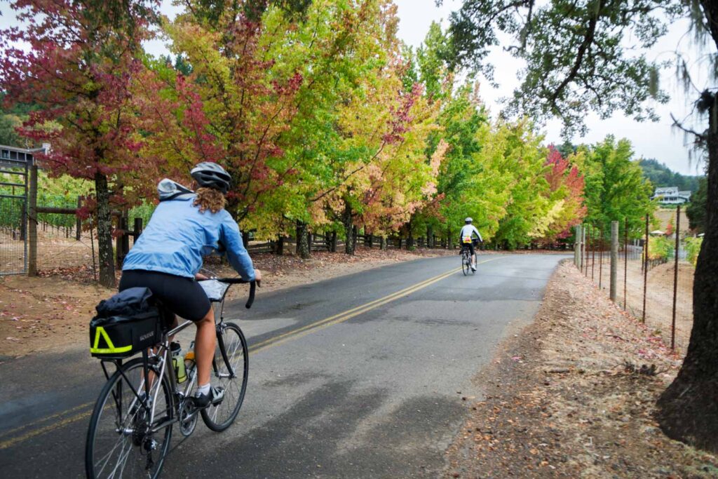California Wine Country travel SEO consultant